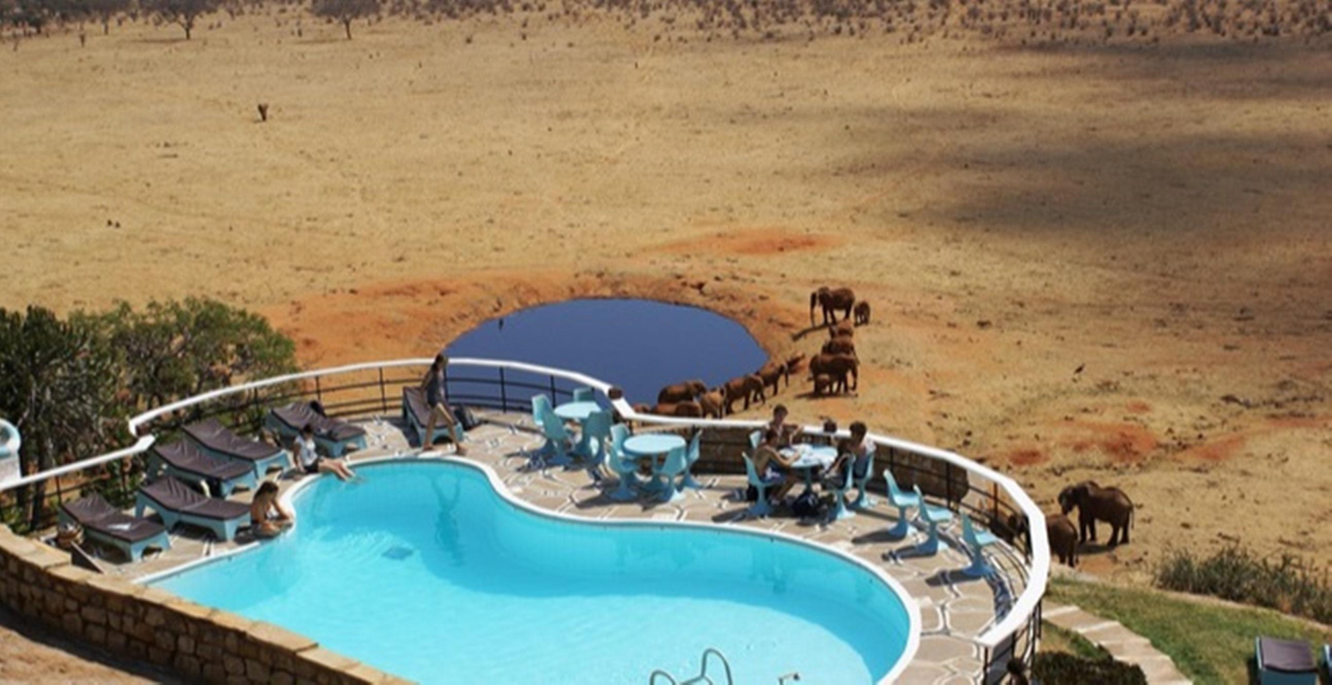 Voi Safari Lodge Bagian luar foto